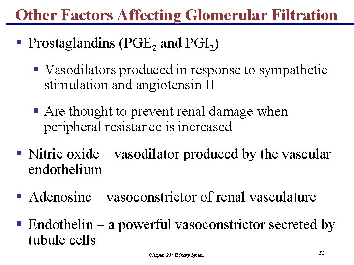 Other Factors Affecting Glomerular Filtration § Prostaglandins (PGE 2 and PGI 2) § Vasodilators