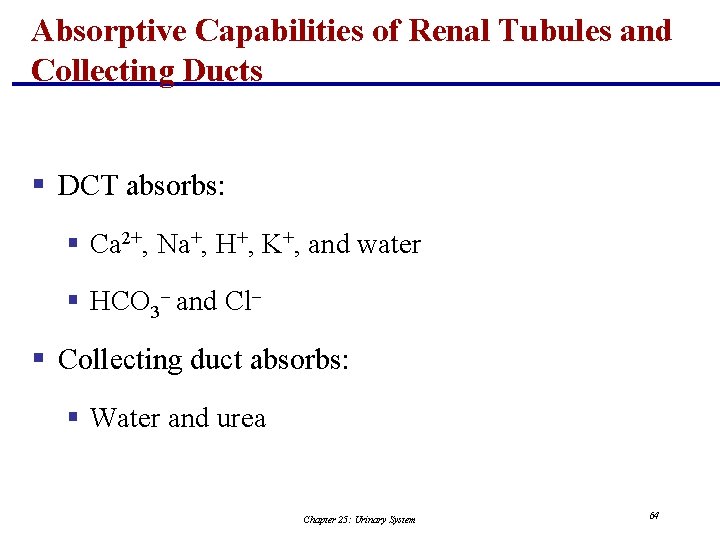 Absorptive Capabilities of Renal Tubules and Collecting Ducts § DCT absorbs: § Ca 2+,