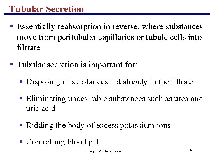 Tubular Secretion § Essentially reabsorption in reverse, where substances move from peritubular capillaries or
