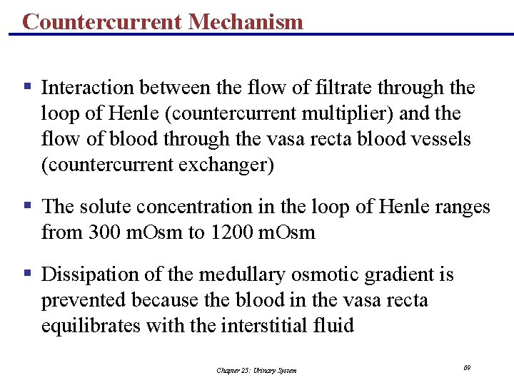 Countercurrent Mechanism § Interaction between the flow of filtrate through the loop of Henle