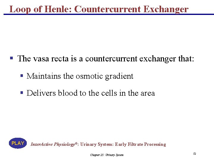 Loop of Henle: Countercurrent Exchanger § The vasa recta is a countercurrent exchanger that:
