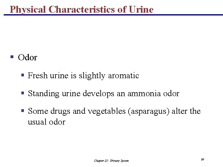 Physical Characteristics of Urine § Odor § Fresh urine is slightly aromatic § Standing