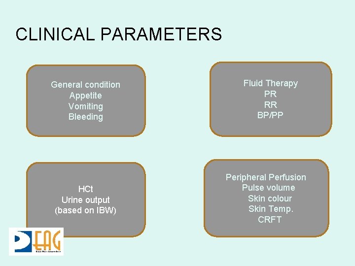 CLINICAL PARAMETERS General condition Appetite Vomiting Bleeding HCt Urine output (based on IBW) Fluid