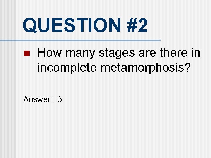 QUESTION #2 n How many stages are there in incomplete metamorphosis? Answer: 3 