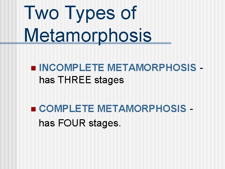 Two Types of Metamorphosis n INCOMPLETE METAMORPHOSIS has THREE stages n COMPLETE METAMORPHOSIS has