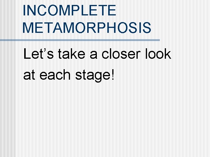 INCOMPLETE METAMORPHOSIS Let’s take a closer look at each stage! 