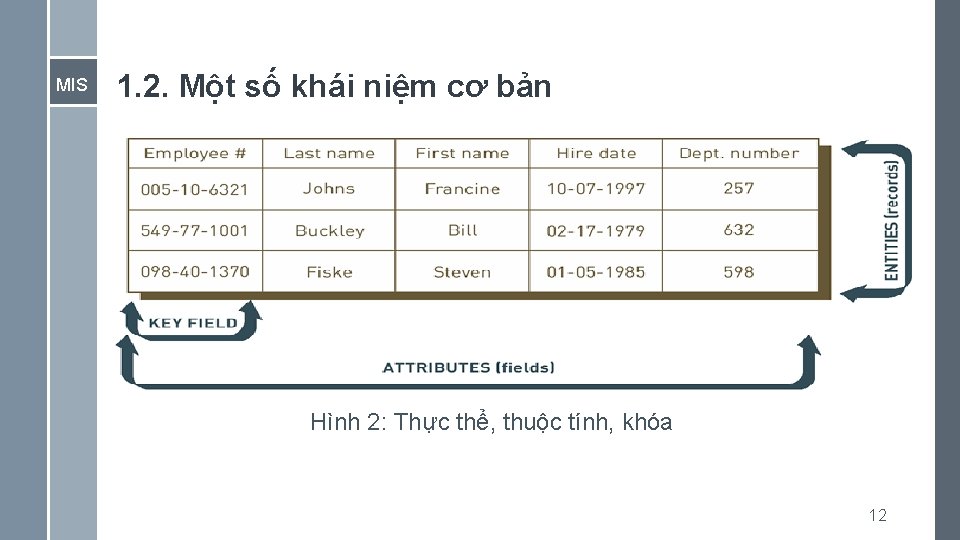 MIS 1. 2. Một số khái niệm cơ bản Hình 2: Thực thể, thuộc