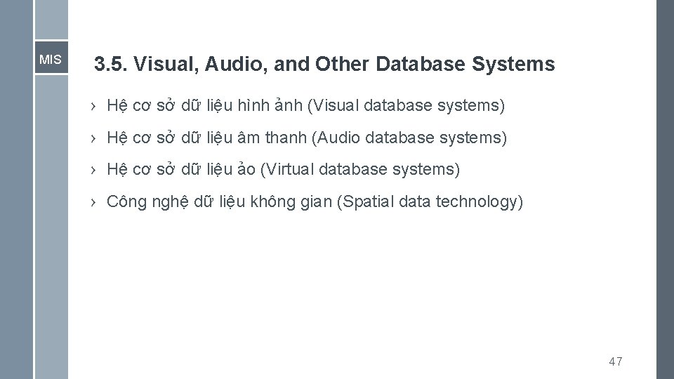 MIS 3. 5. Visual, Audio, and Other Database Systems › Hệ cơ sở dữ