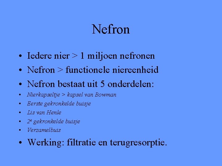 Nefron • Iedere nier > 1 miljoen nefronen • Nefron > functionele niereenheid •