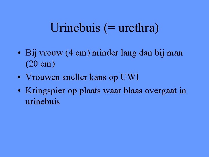 Urinebuis (= urethra) • Bij vrouw (4 cm) minder lang dan bij man (20