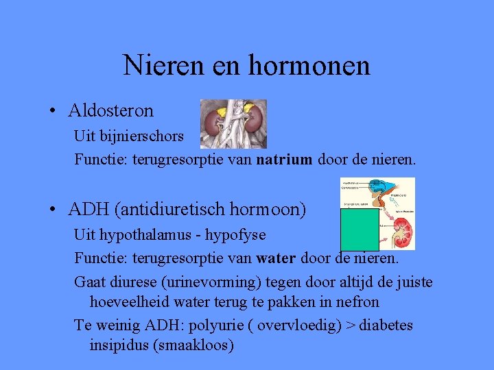 Nieren en hormonen • Aldosteron Uit bijnierschors Functie: terugresorptie van natrium door de nieren.