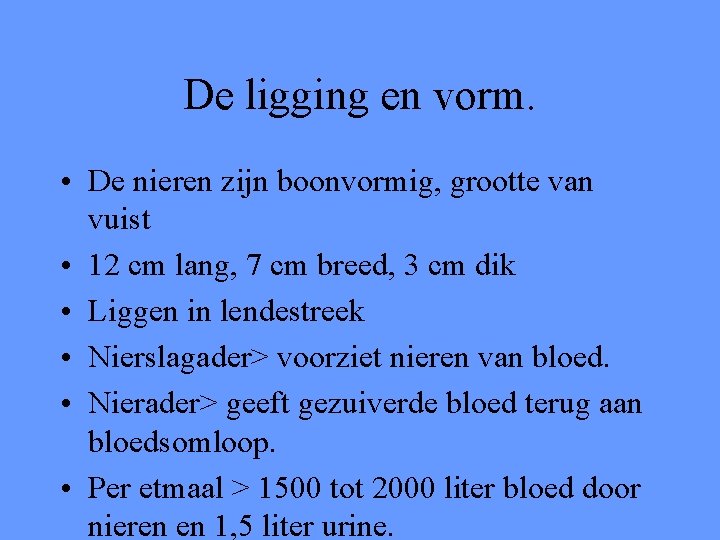 De ligging en vorm. • De nieren zijn boonvormig, grootte van vuist • 12