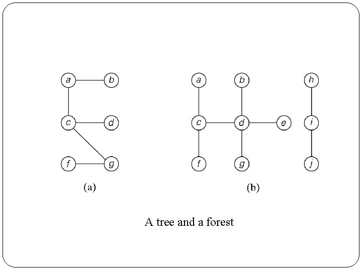 A tree and a forest 