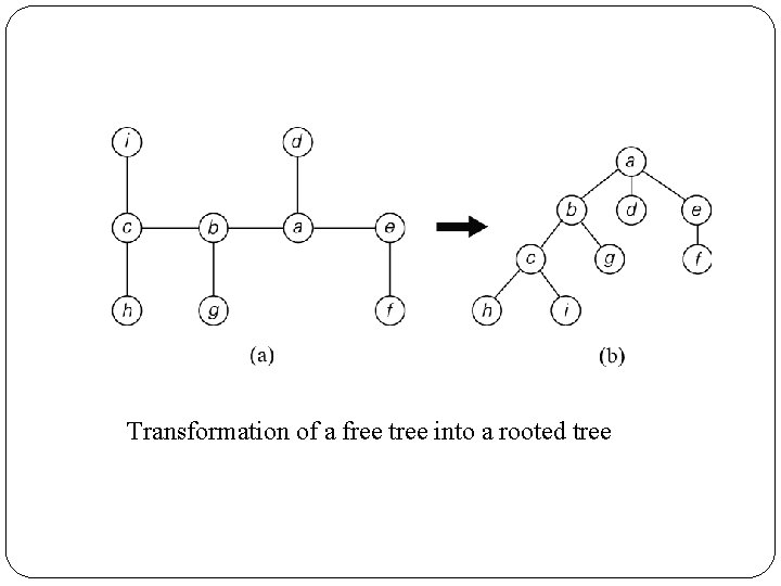 Transformation of a free tree into a rooted tree 