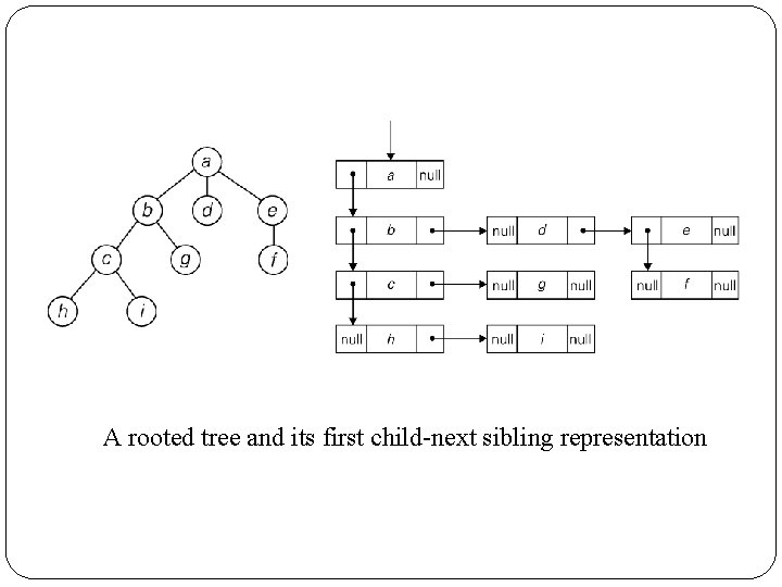 A rooted tree and its first child-next sibling representation 