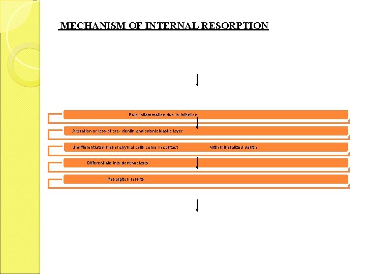 MECHANISM OF INTERNAL RESORPTION Pulp inflammation due to infection Alteration or loss of pre-