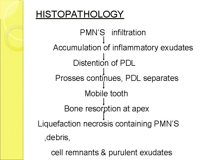 HISTOPATHOLOGY PMN’S infiltration Accumulation of inflammatory exudates Distention of PDL Prosses continues, PDL separates HISTOPATHOLOGY PMN’S infiltration Accumulation of inflammatory exudates Distention of PDL Prosses continues, PDL separates