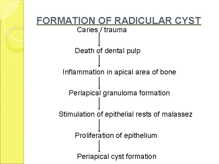 FORMATION OF RADICULAR CYST Caries / trauma Death of dental pulp Inflammation in apical