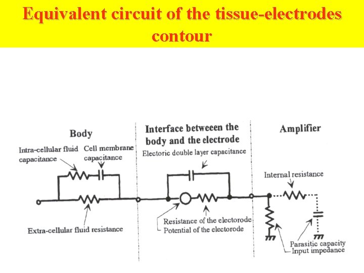 Equivalent circuit of the tissue-electrodes contour 