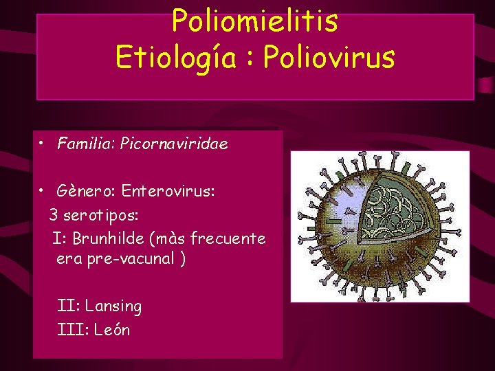Poliomielitis Etiología : Poliovirus • Familia: Picornaviridae • Gènero: Enterovirus: 3 serotipos: I: Brunhilde Poliomielitis Etiología : Poliovirus • Familia: Picornaviridae • Gènero: Enterovirus: 3 serotipos: I: Brunhilde