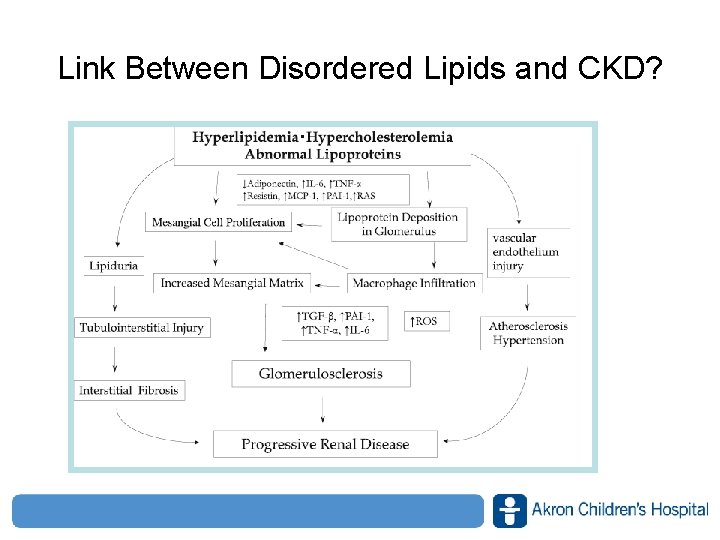 Link Between Disordered Lipids and CKD? www. akronchildrens. org/giving 