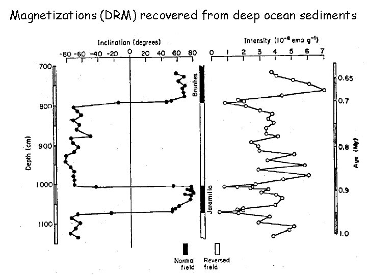 Magnetizations (DRM) recovered from deep ocean sediments 