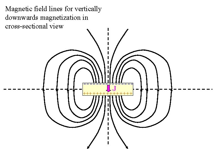 Magnetic field lines for vertically downwards magnetization in cross-sectional view --------J + + +