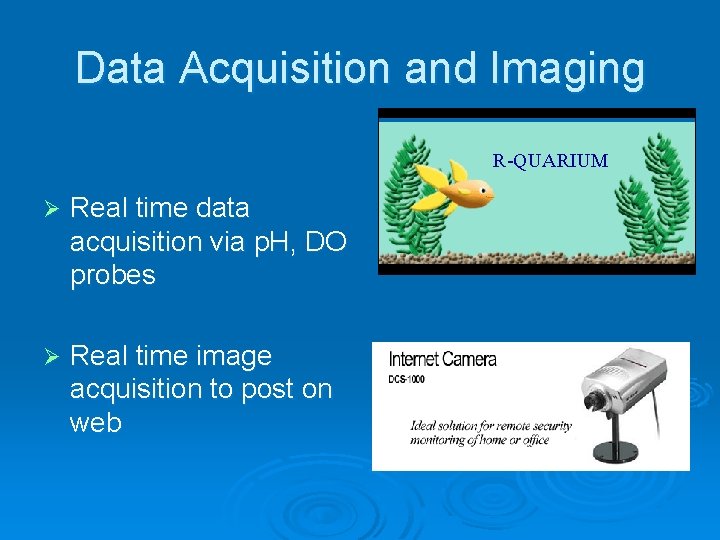 Data Acquisition and Imaging R-QUARIUM Ø Real time data acquisition via p. H, DO