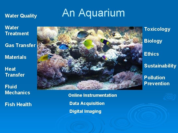 Water Quality An Aquarium Water Treatment Toxicology Biology Gas Transfer Ethics Materials Sustainability Heat