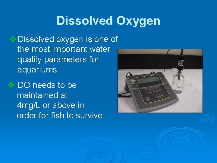 Dissolved Oxygen v Dissolved oxygen is one of the most important water quality parameters