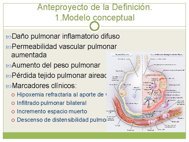 Anteproyecto de la Definición. 1. Modelo conceptual Daño pulmonar inflamatorio difuso Permeabilidad vascular pulmonar