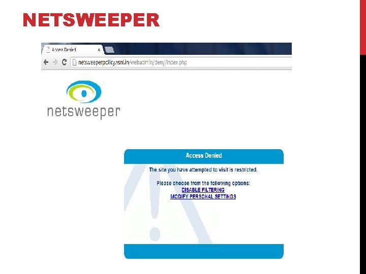 NETSWEEPER 