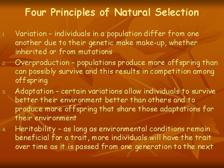 Four Principles of Natural Selection 1. 2. 3. 4. Variation – individuals in a Four Principles of Natural Selection 1. 2. 3. 4. Variation – individuals in a