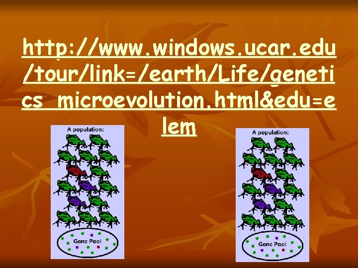 http: //www. windows. ucar. edu /tour/link=/earth/Life/geneti cs_microevolution. html&edu=e lem http: //www. windows. ucar. edu /tour/link=/earth/Life/geneti cs_microevolution. html&edu=e lem