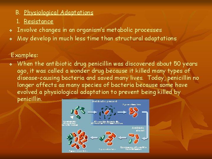 v v B. Physiological Adaptations 1. Resistance Involve changes in an organism’s metabolic processes v v B. Physiological Adaptations 1. Resistance Involve changes in an organism’s metabolic processes
