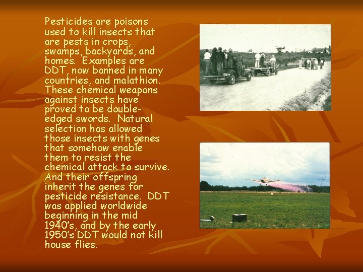 Pesticides are poisons used to kill insects that are pests in crops, swamps, backyards, Pesticides are poisons used to kill insects that are pests in crops, swamps, backyards,