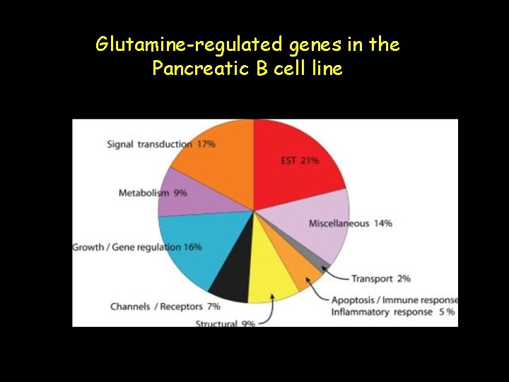 Glutamine-regulated genes in the Pancreatic B cell line 