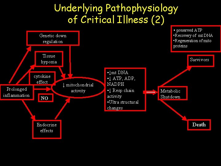 Underlying Pathophysiology of Critical Illness (2) • preserved ATP Genetic down regulation • Recovery
