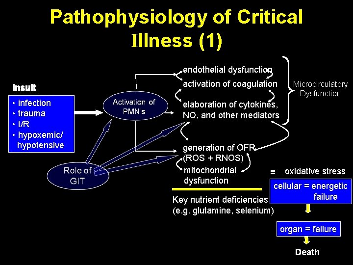 Pathophysiology of Critical Illness (1) endothelial dysfunction Insult activation of coagulation • infection •