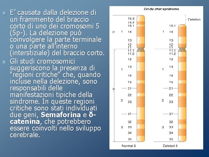 n n E’ causata dalla delezione di un frammento del braccio corto di uno n n E’ causata dalla delezione di un frammento del braccio corto di uno
