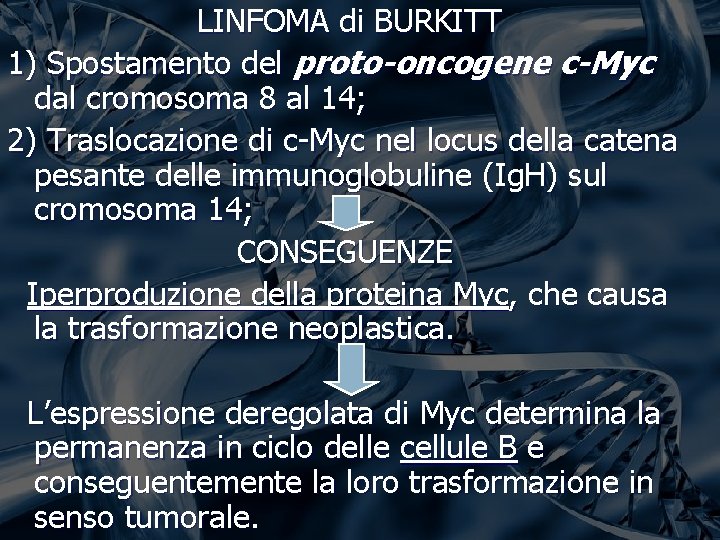 LINFOMA di BURKITT 1) Spostamento del proto-oncogene c-Myc dal cromosoma 8 al 14; 2) LINFOMA di BURKITT 1) Spostamento del proto-oncogene c-Myc dal cromosoma 8 al 14; 2)