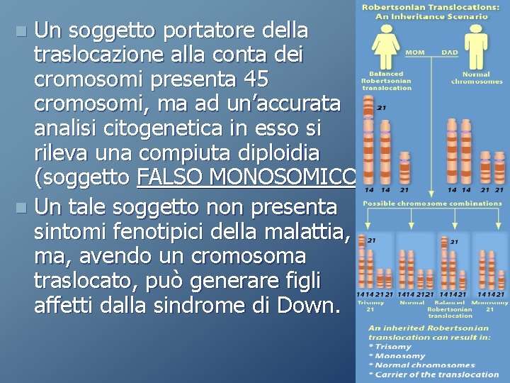 Un soggetto portatore della traslocazione alla conta dei cromosomi presenta 45 cromosomi, ma ad Un soggetto portatore della traslocazione alla conta dei cromosomi presenta 45 cromosomi, ma ad