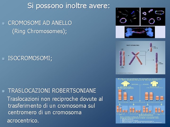 Si possono inoltre avere: n CROMOSOMI AD ANELLO (Ring Chromosomes); n ISOCROMOSOMI; n TRASLOCAZIONI Si possono inoltre avere: n CROMOSOMI AD ANELLO (Ring Chromosomes); n ISOCROMOSOMI; n TRASLOCAZIONI