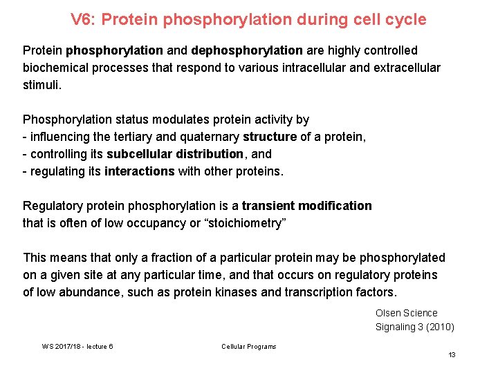 V 6: Protein phosphorylation during cell cycle Protein phosphorylation and dephosphorylation are highly controlled