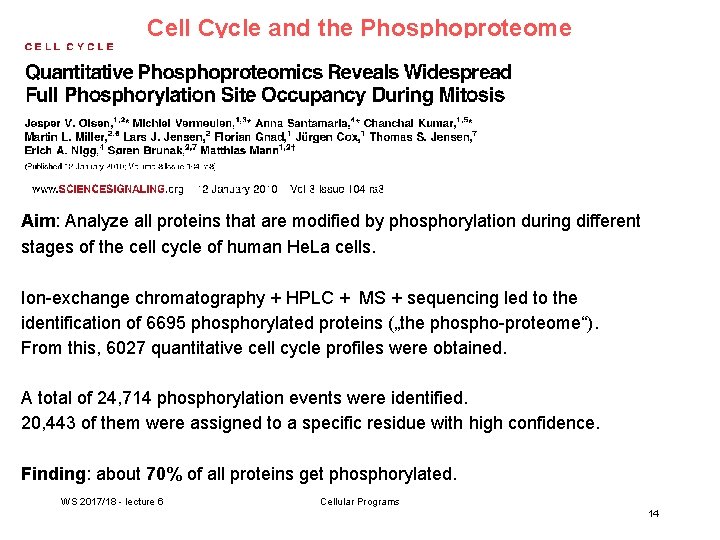 Cell Cycle and the Phosphoproteome Aim: Analyze all proteins that are modified by phosphorylation