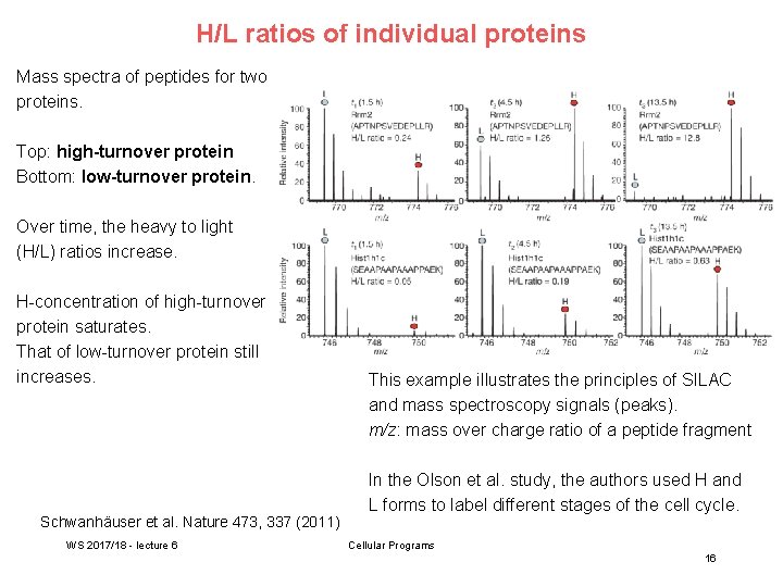 H/L ratios of individual proteins Mass spectra of peptides for two proteins. Top: high-turnover