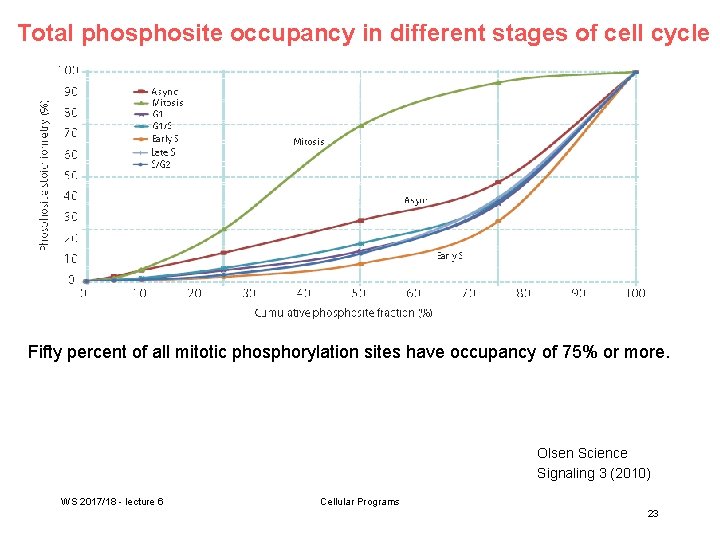 Total phosite occupancy in different stages of cell cycle Fifty percent of all mitotic