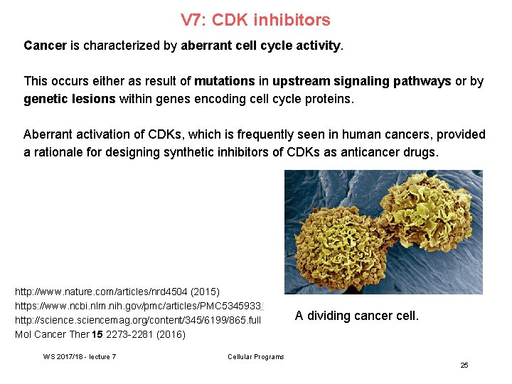 V 7: CDK inhibitors Cancer is characterized by aberrant cell cycle activity. This occurs