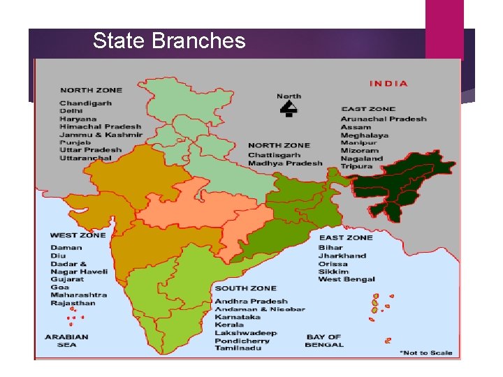 State Branches State Branches