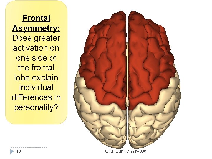 Frontal Asymmetry: Does greater activation on one side of the frontal lobe explain individual